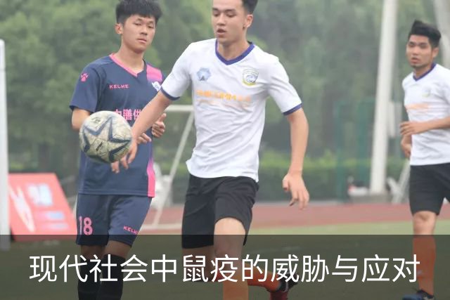 现代社会中鼠疫的威胁与应对